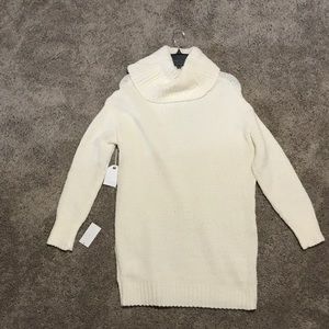 Turtle neck sweater dress